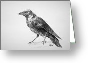 Black Crow Drawing