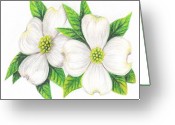 Dogwood+flower+drawing