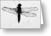 Dragonfly+images+drawings