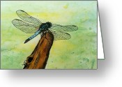 Dragonfly+images+drawings