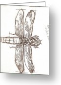 Dragonfly+images+drawings