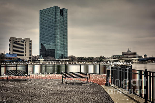 Toledo Ohio City Skyline