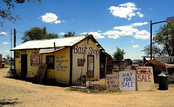 bait-shop-jim-cortez.jpg