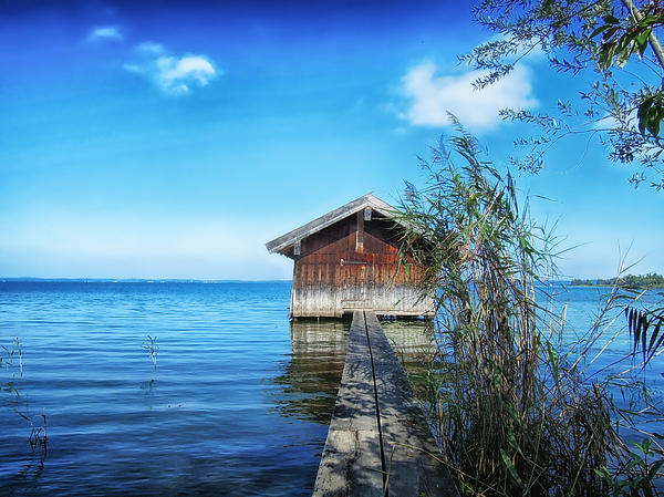 Boat Shed On The Lake Print by Mountain Dreams