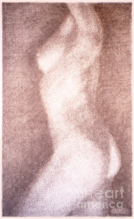 Nude Female Torso Drawings 3 Hand Towel For Sale By Gordon Punt