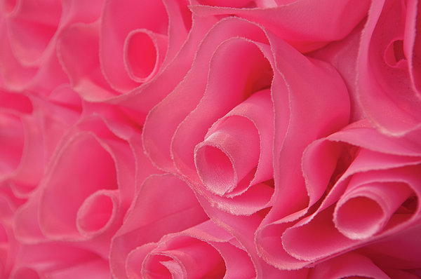 Pink Fabric Rose Background Print by Brandon Bourdages