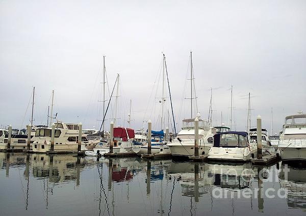 San Diego Marina Print by Nancy Anderson