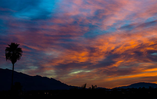 Sunset Lights Up The Tucson Arizona Sky By Michael Moriarty