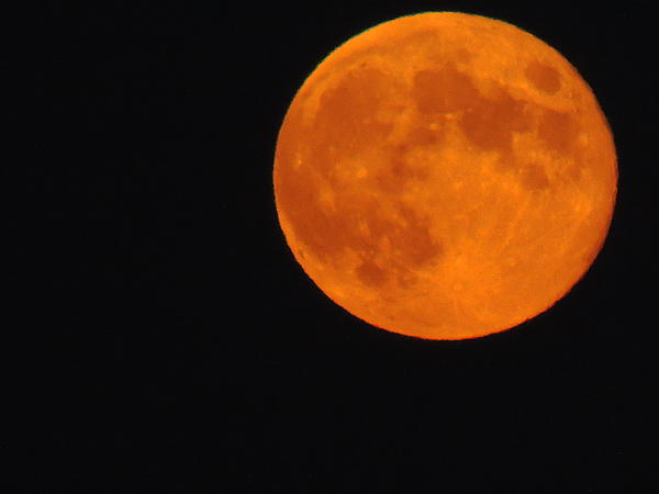 the harvest moon in orange by anastasia konn the harvest moon in orange by anastasia konn
