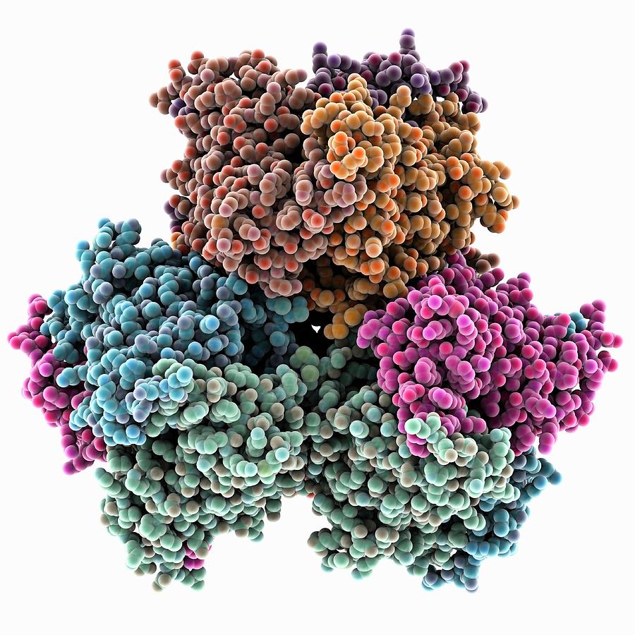 Engineered Self Assembling Protein Molecule Photograph By Laguna Design