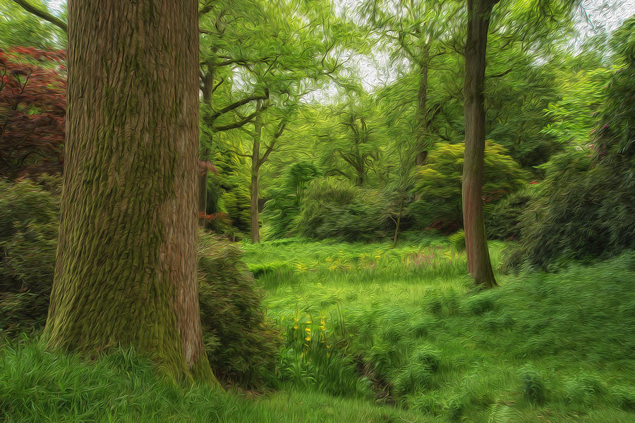 Landscape Image Of Beautiful Vibrant Lush Green Forest Woodland Digital