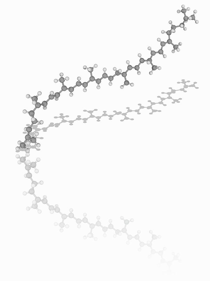 Lycopene Organic Compound Molecule Photograph By Laguna Design Science