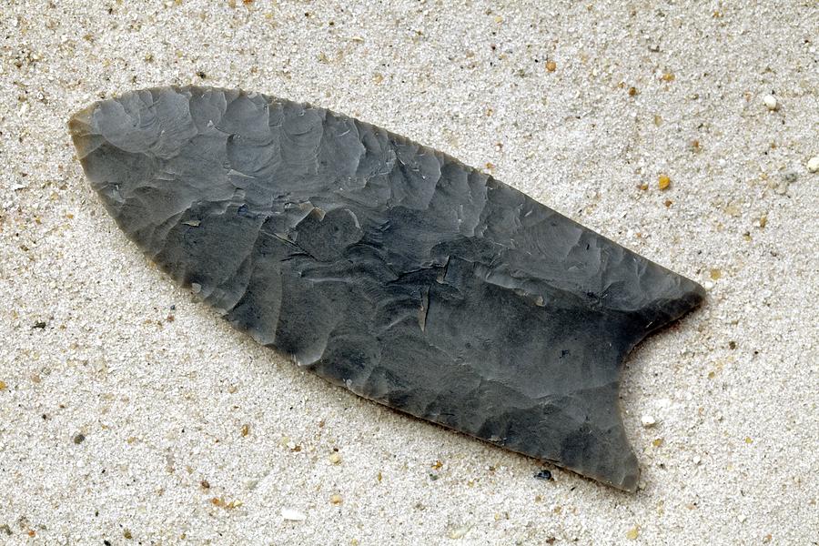 Native American Flint Arrowhead Photograph by Science Photo Library