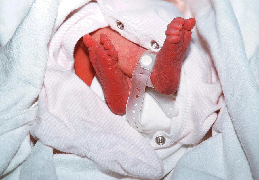 Newborn Baby S Tag Photograph By Simon Fraser Science Photo Library