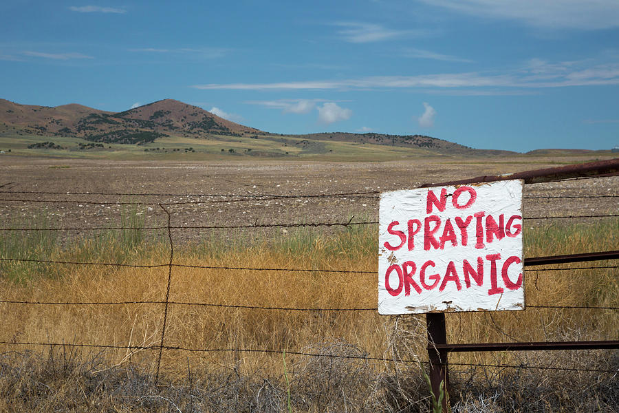 Organic Farm Photograph By Jim West Fine Art America