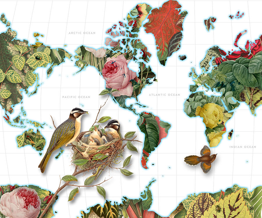 Plant World Map Digital Art by Gary Grayson