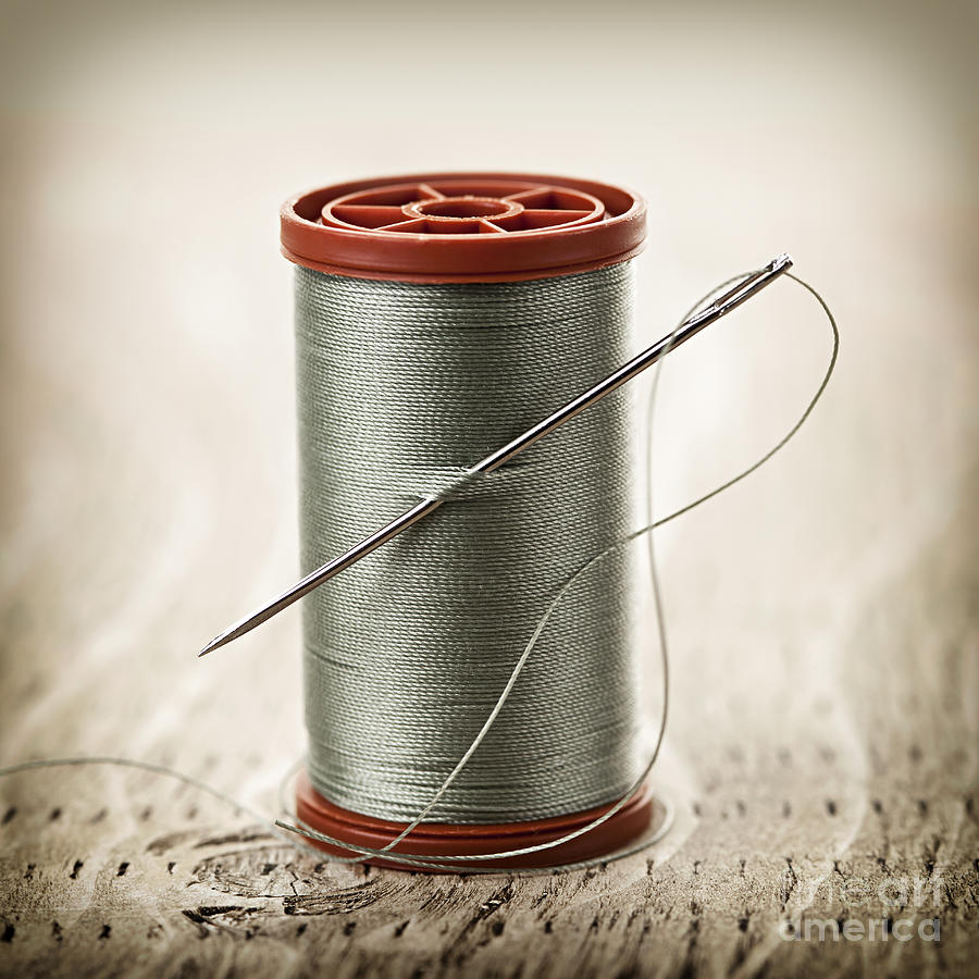 Thread And Needle Photograph by Elena Elisseeva