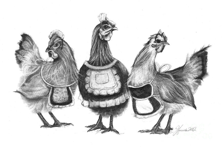 Three French Hens Drawing by J Ferwerda