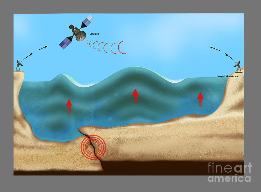 Tsunami Warning Diagram Photograph By Gwen Shockey Pixels