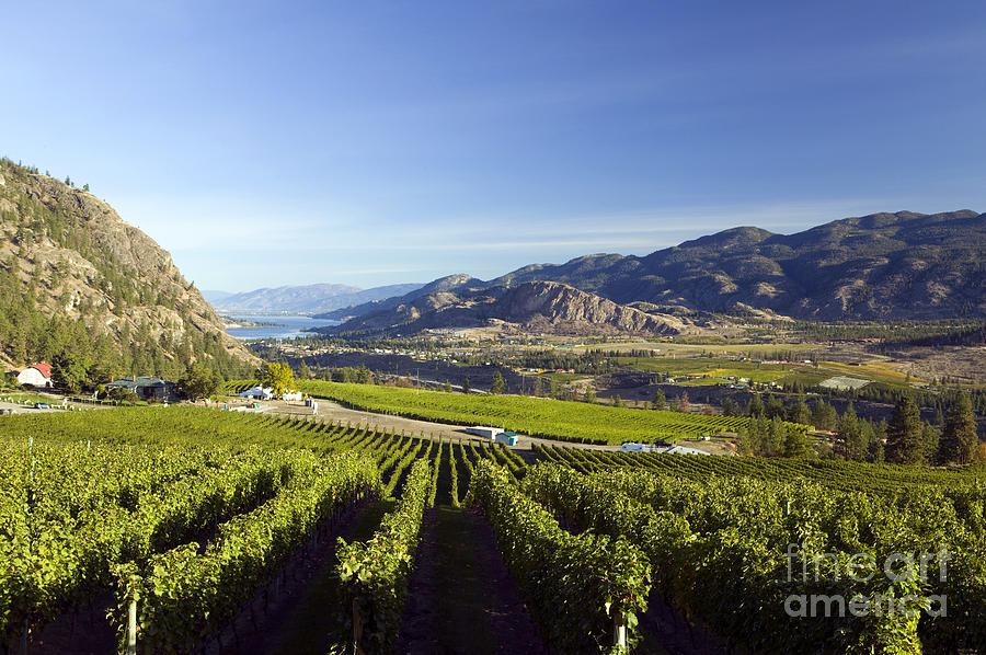 okanagan falls chat sites Okanagan falls, bc v0h 1r0 - map it phone: (250) 548-0076 route save more about okanagan falls, bc hotels in okanagan falls, bc type: public sites: 25 sites. okanagan falls chat sites Okanagan falls, bc v0h 1r0 - map it phone: (250) 548-0076 route save more about okanagan falls, bc hotels in okanagan falls, bc type: public sites: 25 sites.
