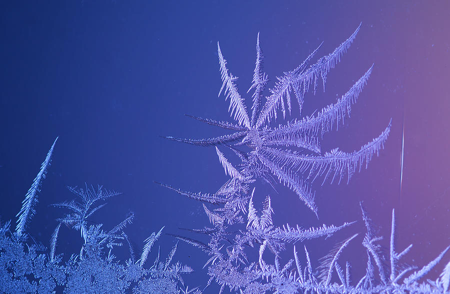 Beautiful Frost Pattern On Window By Tamara Kulikova 9403