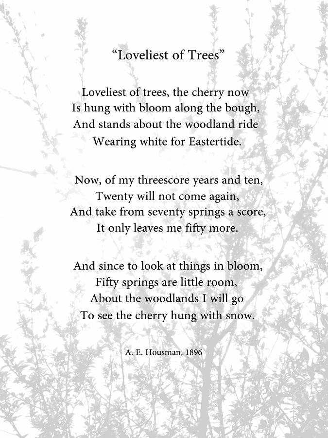 What Is The Theme Of The Poem Loveliest Of Trees