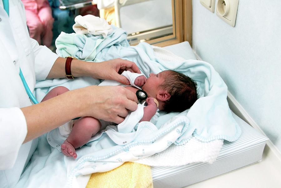 Newborn Baby By John Thys Reporters Science Photo Library