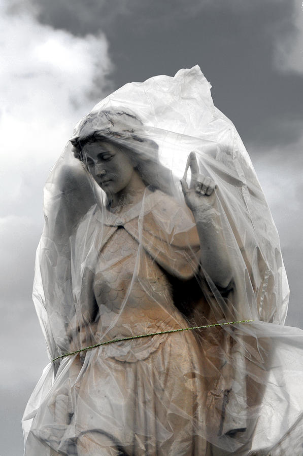 All Wrapped Up Mount Calvary Cemetery Cheektowaga New York 2008