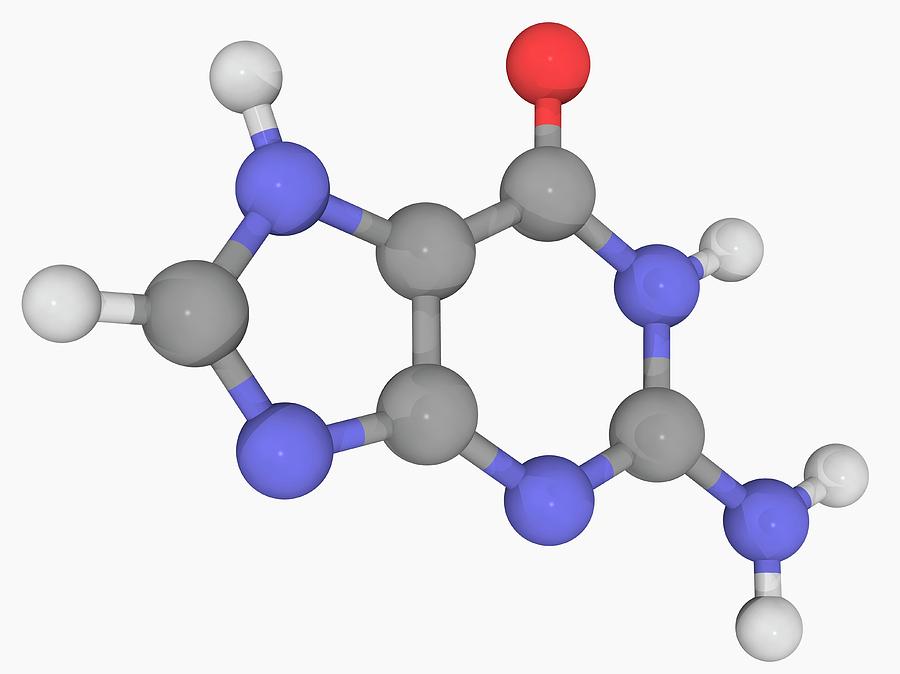 Guanine Molecule Photograph By Laguna Design Science Photo Library