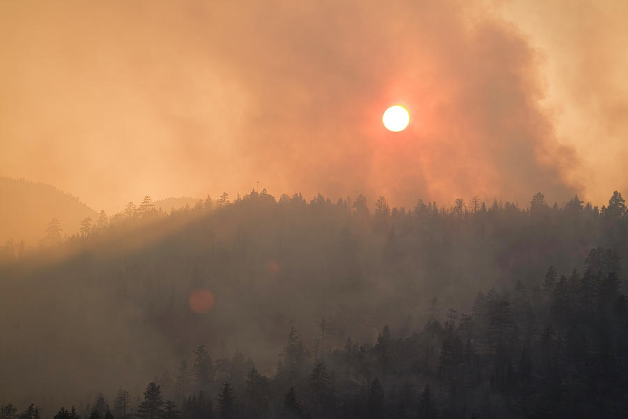 Angora Fire In South Lake Tahoe Ca Photograph By Justin Bailie Fine