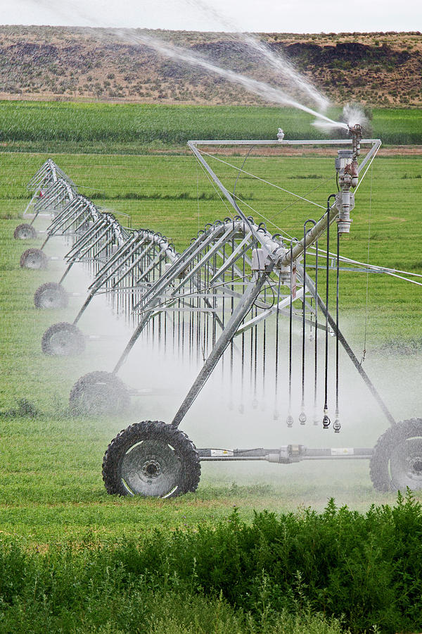 Crop Irrigation 4 By Jim West