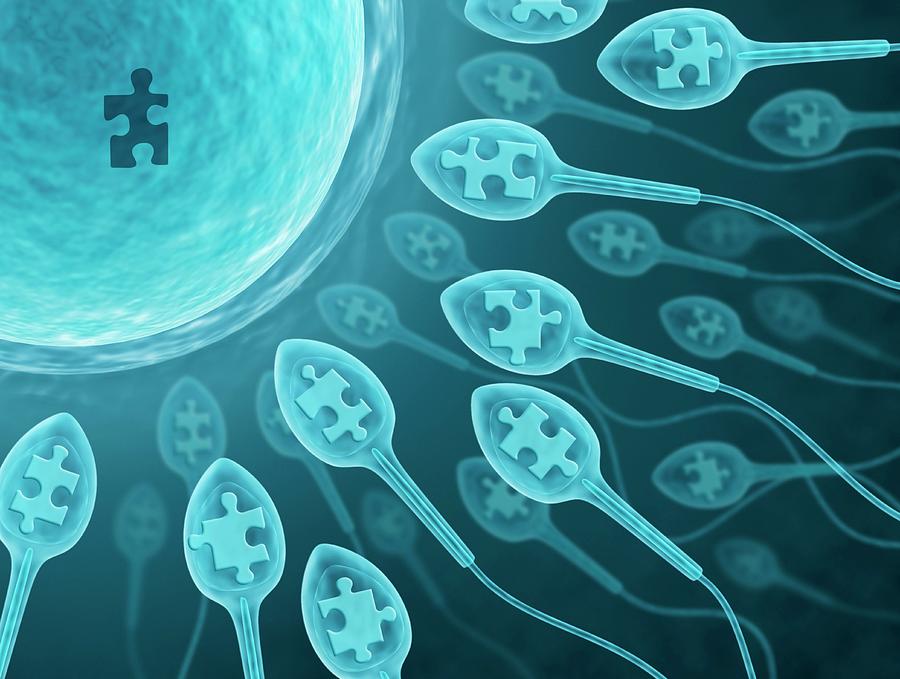 Antibodies against sperm