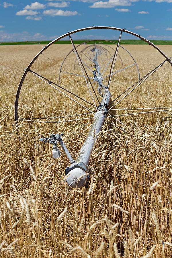 Crop Irrigation Photograph By Jim West Fine Art America