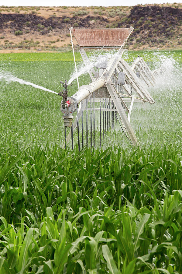 Crop Irrigation 8 By Jim West