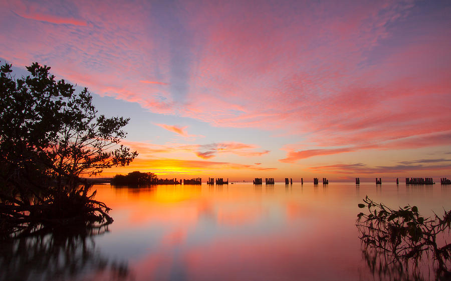 A Tampa Bay Sunset Photograph by Chris Beasley Photography