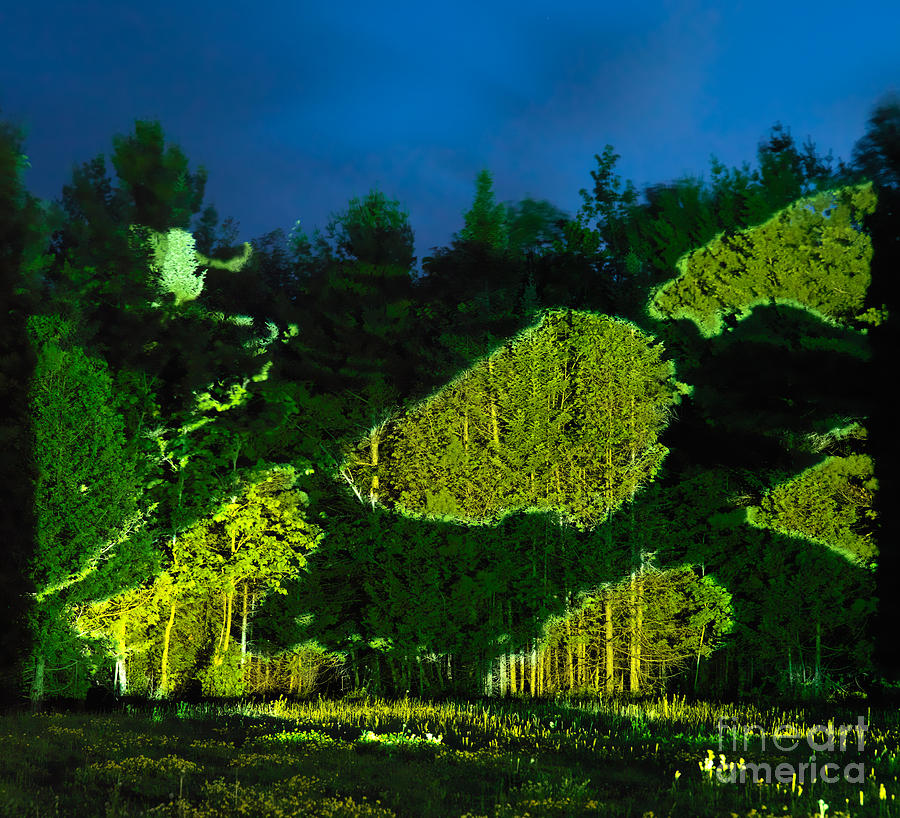 Abstract Art Projection Over Night Nature Scenery Photograph by Oleksiy