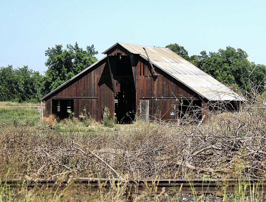 Across The Tracks Photograph