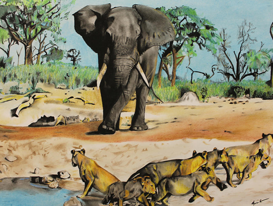 African Wildlife Drawing by Marvin Ryan