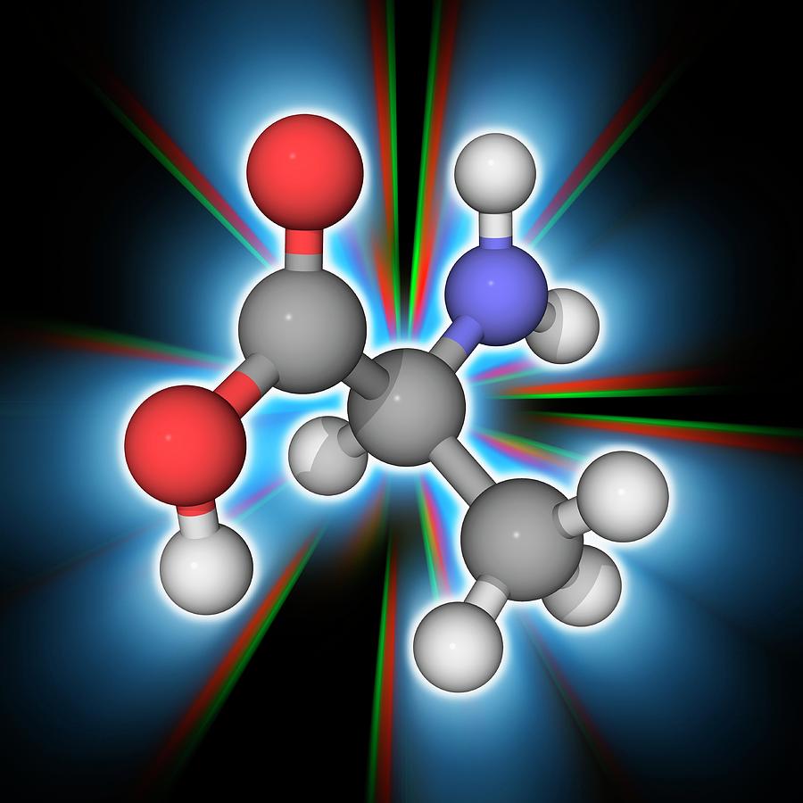 Alanine Organic Compound Molecule Photograph By Laguna Design Science