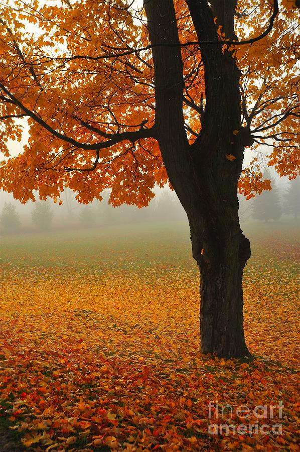 All that glitters is not gold essay