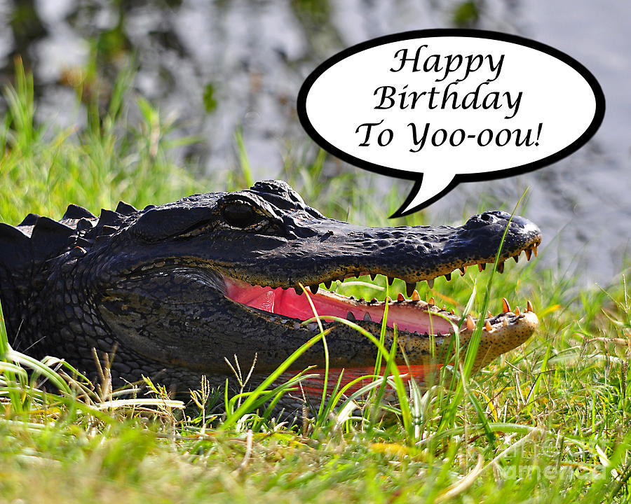 http://images.fineartamerica.com/images-medium-large-5/alligator-birthday-card-al-powell-photography-usa.jpg