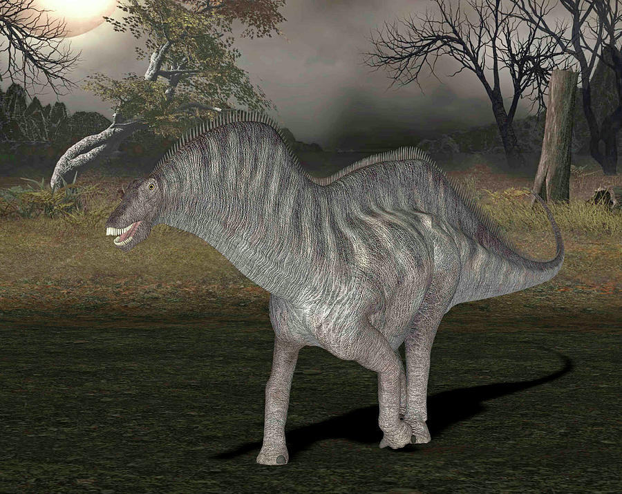 amargasaurus fossil