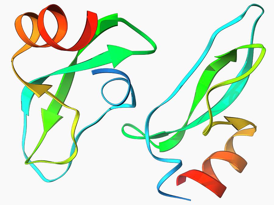 Amyloid Precursor Protein Molecule Photograph By Laguna Design Science