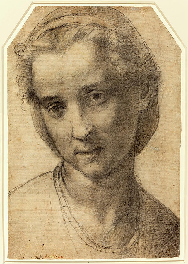 Andrea Del Sarto Italian Head Of A Woman Drawing By Quint