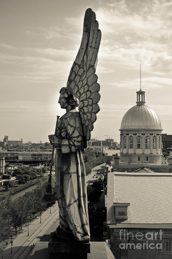 Angel Photograph By Isabel Poulin Fine Art America