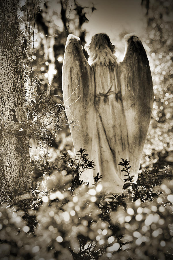 Angel Photograph By Michael Byerley Fine Art America