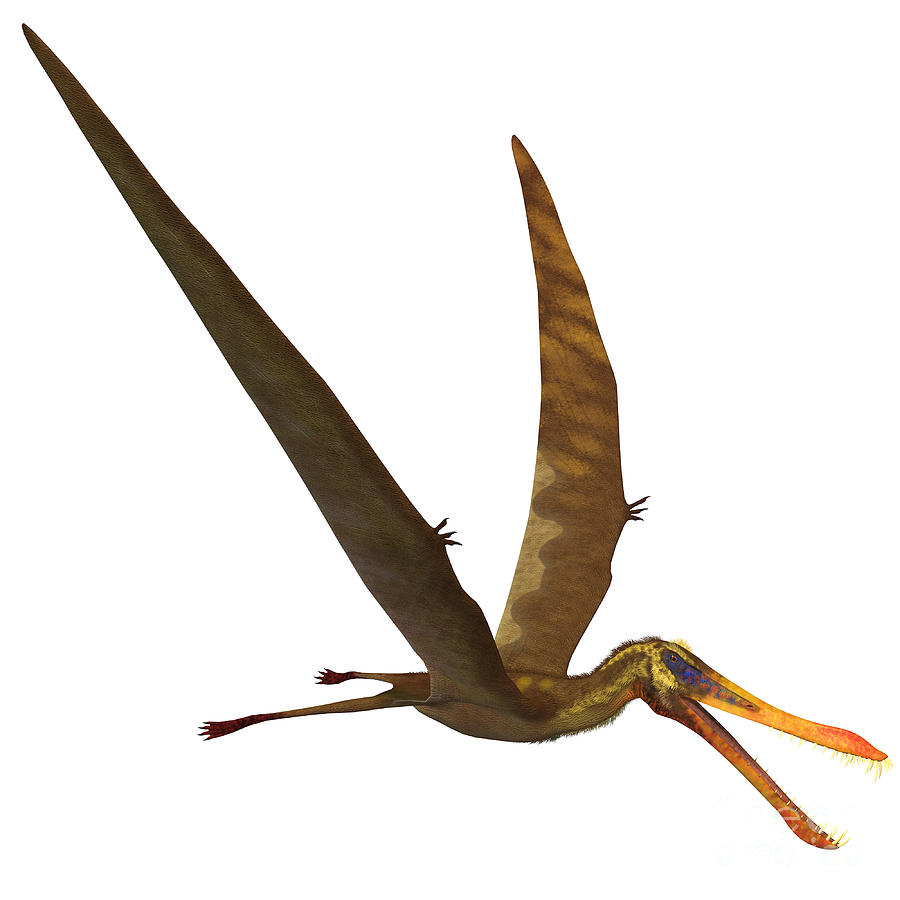 large pterosaur