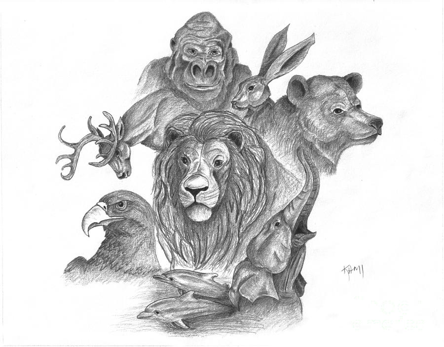 Animal Kingdom Drawing by Kami Catherman