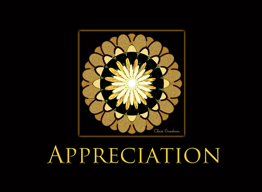 appreciation-clare-goodwin.jpg