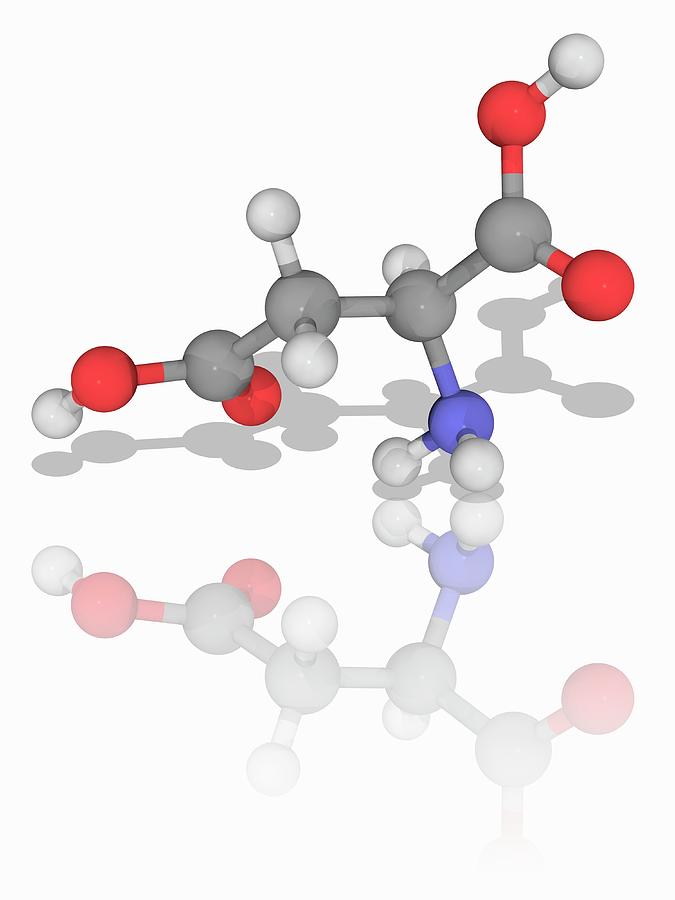 Aspartic Organic Compound Molecule Photograph By Laguna Design Science